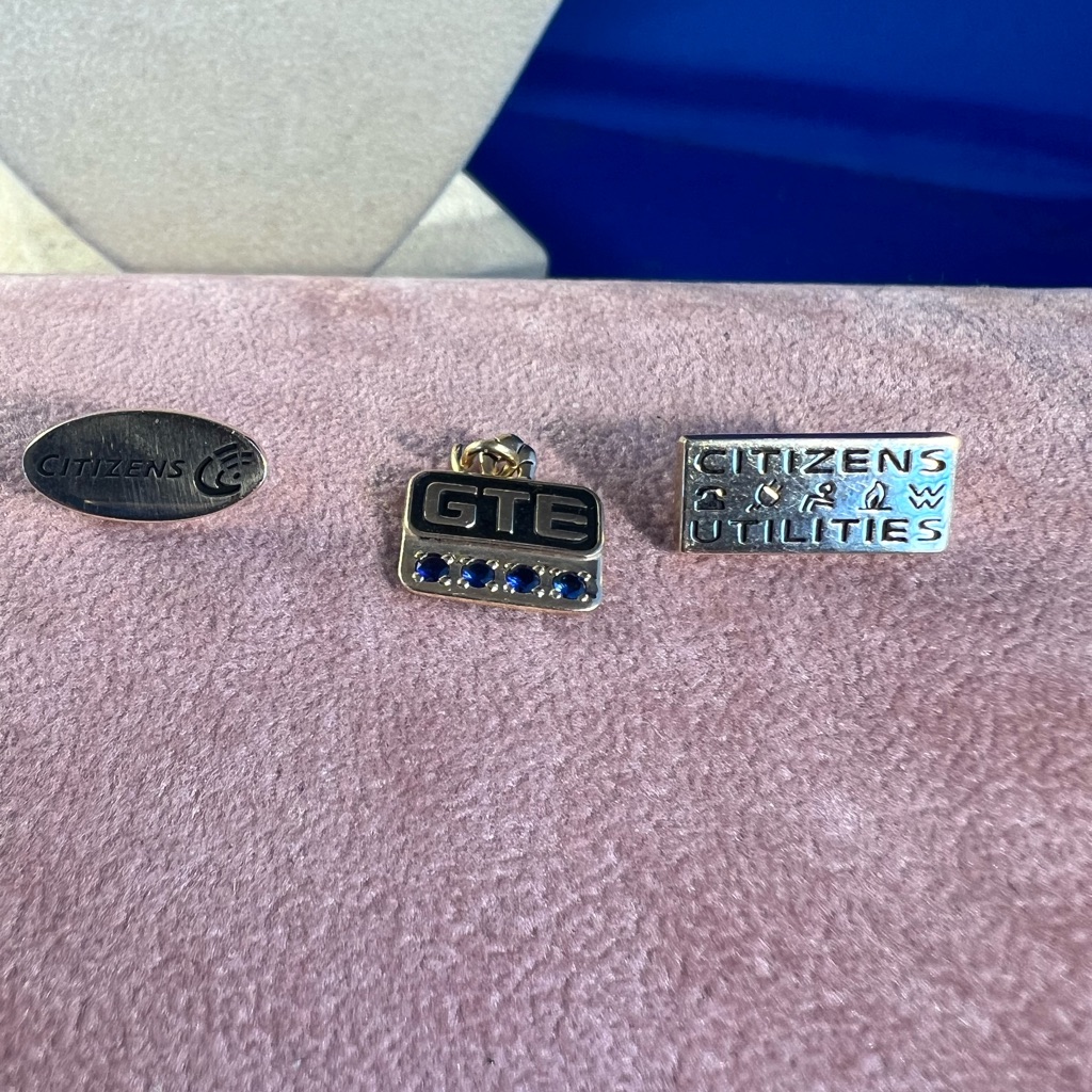 10 Kt Gold Pins